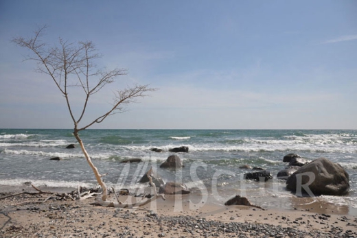 Am Strand von Mön