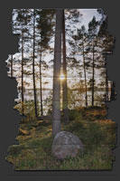 Finnischer Wald